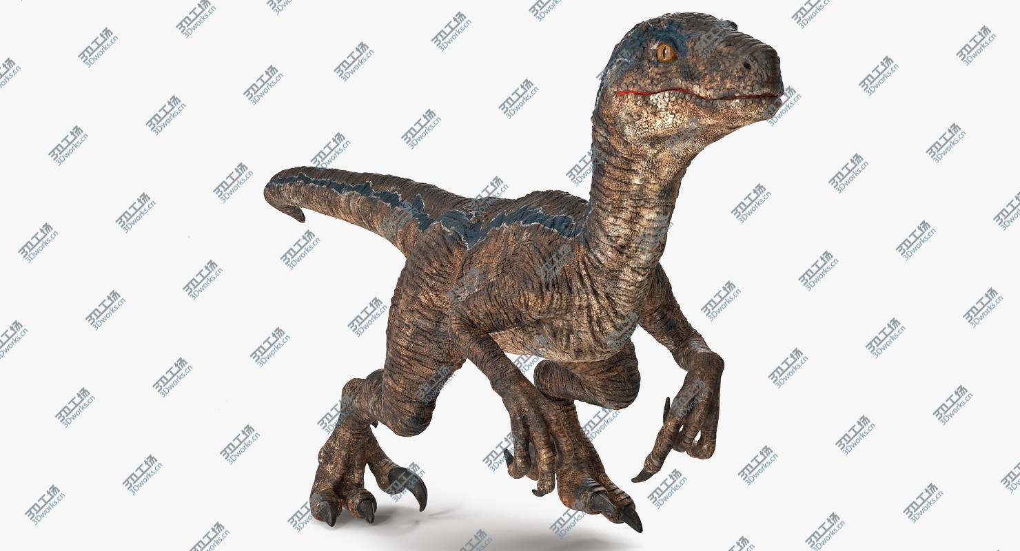 images/goods_img/2021040161/3D Velociraptor Walking Pose 3D Model/2.jpg